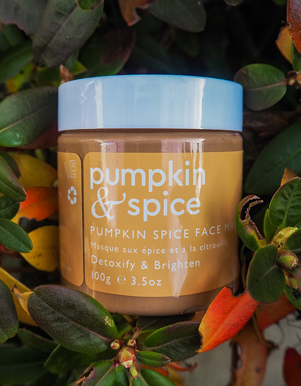 Pumpkin & Spice Clay Face Mask image