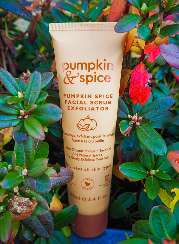 Pumpkin & Spice Facial Scrub Exfoliator image