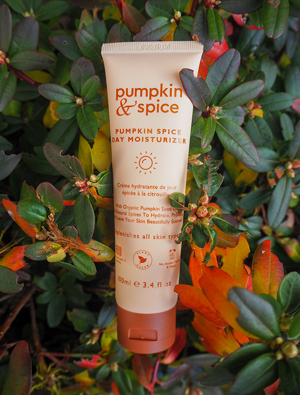 Pumpkin & Spice Day Moisturizer Lotion image